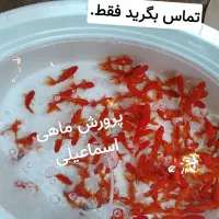 ماهی گلی ساده وگلدفیش