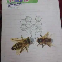 کتاب کمک درسی