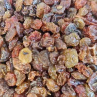 کشمش آفتابی بیدانه|خوردنی و آشامیدنی|بجنورد, |دیوار