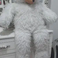 عروسک|اسباب‌بازی بچه|مشهد, بهمن|دیوار