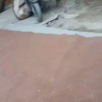 موکت ۱۲متری|فرش|خرمشهر, |دیوار