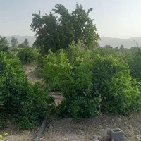 زمین باغ شهر با قابلیت تغییرکاربری