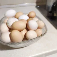 تخم مرغ محلی تازه