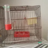 فروش قفس|لوازم جانبی حیوانات|اردستان, |دیوار