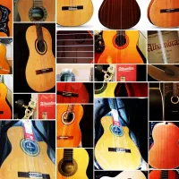 گیتار الکتریک کلاسیک یوکوله له فندر اندونزی