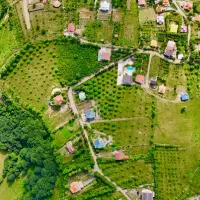 زمینهای تفکیکی در گیلان فرصت ویژه سرمایه گذاری|فروش زمین و ملک کلنگی|برهسر, |دیوار