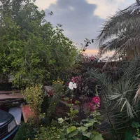 اجاره روزانه/هفتگی/ماهانه آپارتمان ۱۸ متری|اجارهٔ کوتاه‌مدت آپارتمان و سوئیت|خورموج, |دیوار