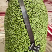 انواع سبزه برای هرمراسمی|گل و گیاه طبیعی|صحنه, |دیوار