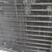 ضایعات شهرستان رودان