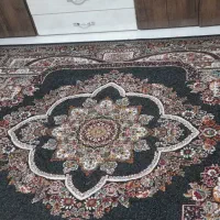 فرش ۶ متری|فرش|شهرکرد, |دیوار