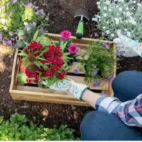 همه کارهای باغبانی