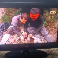 تلویزیون 24اینچ تی سی ال|تلویزیون و پروژکتور|قم, محمد آباد|دیوار