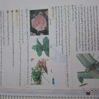 کتاب زیست ماز