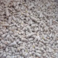 کنسانتره پرواری