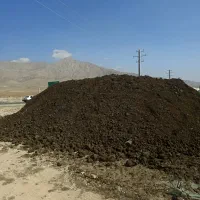 کود گاوی و خاک باغی