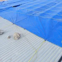 چادر مخصوص دامدار|عمده‌فروشی|کوهنانی, |دیوار