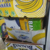 خریدار کارتن ضایعات به بالاترین قیمت