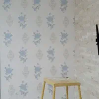 تعمیرات و بازسازی ساختمان|خدمات پیشه و مهارت|ری, فیروزآبادی|دیوار