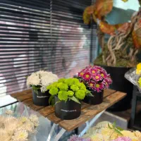 جشنواره باکس گل و سبد گل