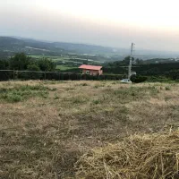 فروش زمین در یکی از بهترین لوکیشنهای ساری|فروش زمین و ملک کلنگی|ارطه, |دیوار