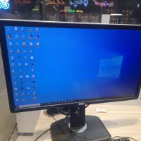 dell p241