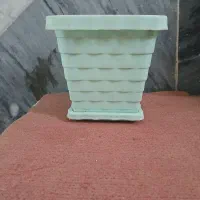 گلدان پلاستیکی|گل و گیاه طبیعی|قم, شاه ابراهیم|دیوار