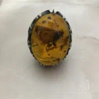 انگشتر مدل کهربا پروانه ای