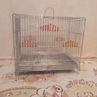 دوعددقفس حرفه ای مهردار سهره