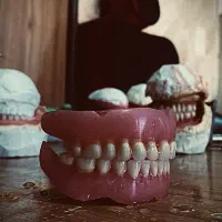 دندان متحرک|پزشکی|کرمانشاه, |دیوار