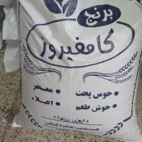 برنج کامفیروز اصل اصل درجه ۱ به شرط پخت