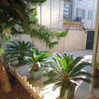 ۲۵۲ متر زمین عرصه و عیان(تجاری مسکونی)