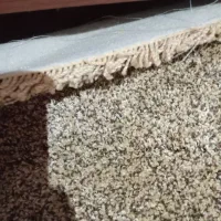 پالازموکت|موکت|کرج, ساماندهی|دیوار