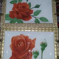 اقلام چینی زیبا|ظروف سرو و پذیرایی|کرج, حسن آباد|دیوار