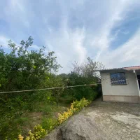 ویلا فلت ۵۶۰ متری شیرود