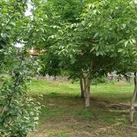 سوییت مبله با امکانات کامل|اجارهٔ کوتاه‌مدت آپارتمان و سوئیت|گوراب زرمیخ, |دیوار