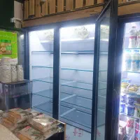 فریزر ایستاده بدون برفک|فروشگاه و مغازه|اندیشه, اندیشه فاز ۱|دیوار