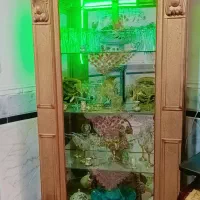 بوفه