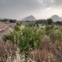 فروش زمین ۵۰۰ متری در فلکه دانشگاه|فروش زمین و ملک کلنگی|اصفهان, امین‌آباد|دیوار