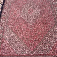 فروش دو عدد فرش دستباف بیدگینه|فرش|زنجان, |دیوار