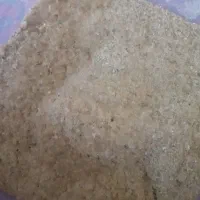 گزو اصل