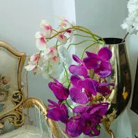 ۲ عددگلدان کرومی و ۱۱ شاخه گل ارکیده