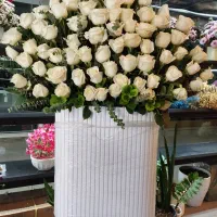 باکس گل کرج و تهران