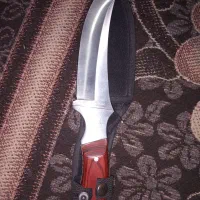 چاقو حلال کلکسیونی