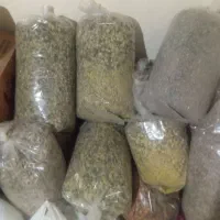 گل ختمی|گل و گیاه طبیعی|پاکدشت, شهرک انقلاب|دیوار