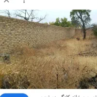 زمین-مسکونی-روستای-آگاه-سفلی