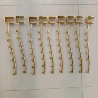 رگال تیله ایی