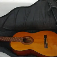گیتار ویکتوریا