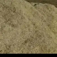 کاه لوبیا چیتی
