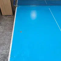 میز پینگ پنگ آماتور|تجهیزات ورزشی|لنگرود, |دیوار