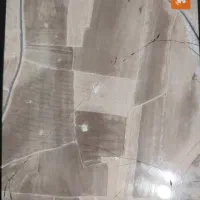 فروش زمین کشاورزی